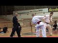 Kyokushin világ