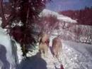 Aventures Nord-Bec STONEHAM