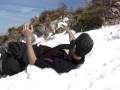 videos de boston malamute