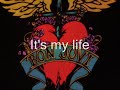 It's my life-Bon Jovi (Lyrics in Description)