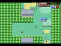 Pokémon App Beta Run 2