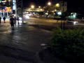 Pretin voando no matin