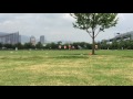 20170801