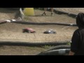 5A4.mp4