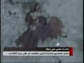 zahle 3 kataeb killed