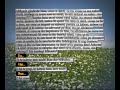 Mihaela&Tolea phone storry