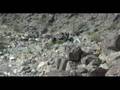 KOH 2008