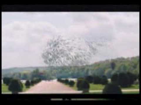 Digital life ecosystem - Trentham ...