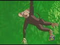 hi 5 animales español