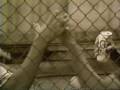 videos de Colt 45 