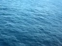 Bloggur - Del 6