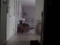 videos de You got Spooked