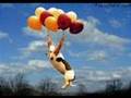 funny animals