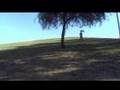 HILLSIDE HSKY