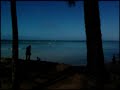 Japan Hawaii Tsunami.2011 (Must See)