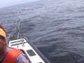 Cod jigging and Whale watching