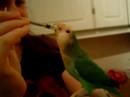 Alana takes her medicine