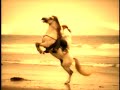 Trace Adkins - The Rest Of Mine