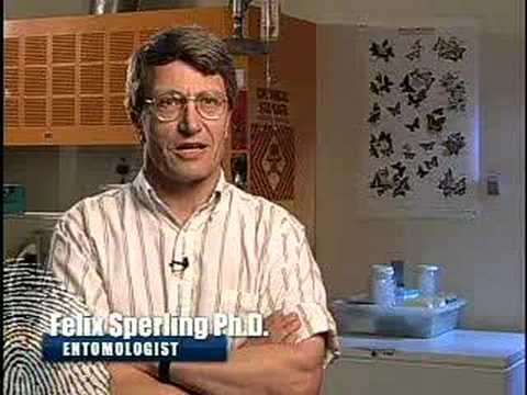 How can the study of entomology ...