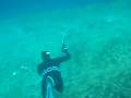 greek spearfishing