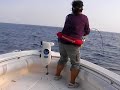 相模湾のキハダマグロ釣り