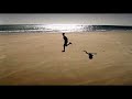 Port Adelaide Football Club - Power Ad