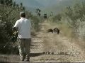Ver vídeo