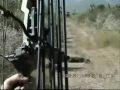 Ver vídeo