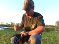 Drake Wood Duck Identification Drake Wood Duck Identification
