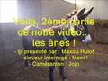 Ushuaïa nature sur les canards et les ânes