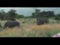 Il-Divo-Safari-Sud-f