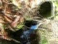 Chasse dans la Batiscan-Neilson