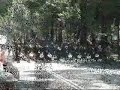Desfile del 16 de Septiembre Ciudad de México