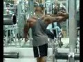 Back Workout