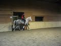 Bentley Trot Right