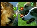 newla attck on snake and dogs attack on rabbit