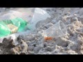 Итоги митинга на болотной