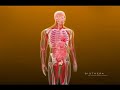 Wellmune WGP® and MonaVie (M)mun™