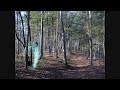Ghostly Forest Nymph babe xD