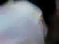 Guarreando en el Consorcio. Punta Umbr�a