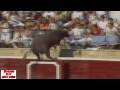 Bull Jumps Into Crowd & Injures 40 In Spain ! ★DSTWD★( David Spates )