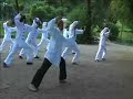 Tai Chi Chuan - Forma Yang 43