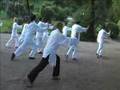Tai Chi Chuan - Forma Yang 43