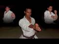 videos de Exhibición Karate-do Seitokan Gala Fundación Coinca nov 16 2008.m4v