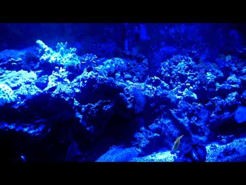 Cloud setting manually