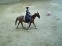 Dressage avec Perle 2