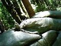 CIA Airsoft Vancouver Island 07 CIA Airsoft Vancouver Island 07