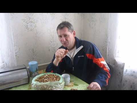 YouTube Трейлер