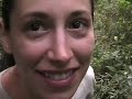 Tracking the Nkoringo Gorillas
