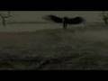 Canyon - FARRIOL